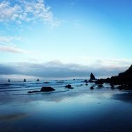 ocean landscape in washington