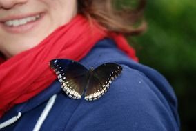 butterfly on the woman's shoulder