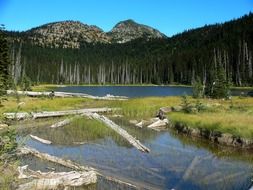 magnificent washington mountains