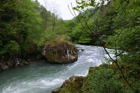 Landscape with the Kintrishi river in Georgia