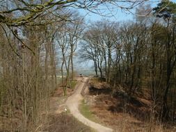 rural path in the Netherlands