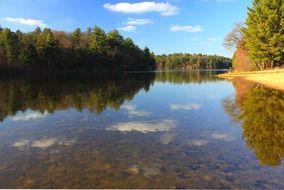 clear water in a forest river in Wisconsin