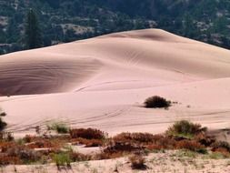 pink sand dunes in Utah