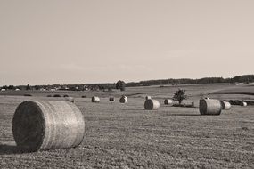 Stack of hay on the field