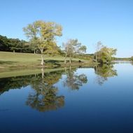 trees reflection lake