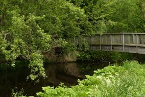 pedestrian bridge across the river among the lush vegetation