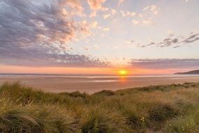 Sunset on the horizon of the sea on the background of the green coast