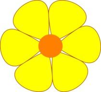 isolated flower with yellow petals