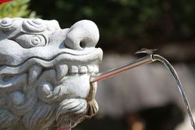 fountain in shape of stone dragon