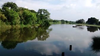 panorama of wildlife around the lake