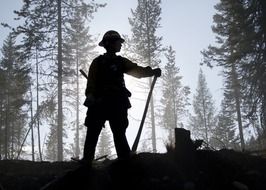 Picture of firefighter silhouette in a forest