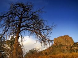 Landscape view of Texas mountains