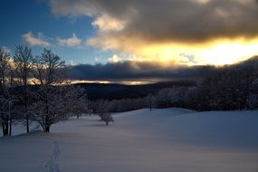 snowy hillside on the background of the forest