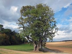 germany landscape sky clouds trees