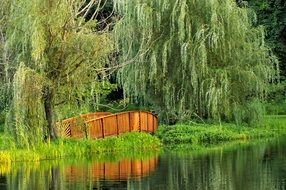 wooden bridge over water in the park