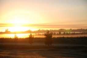 sunrise over a forest in argentina