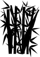 bamboo silhouette as a drawing