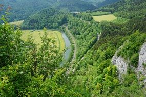 green banks of the Danube with a birdâs eye view