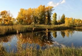 calm river in autumn
