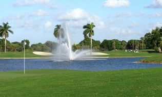 fountain and palms at park, usa, florida, miami