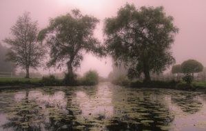 postcard of a foggy morning in nature in Sweden