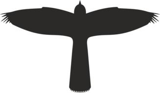 black silhouette of a bird of prey on a white background