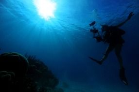 Diving in the ocean