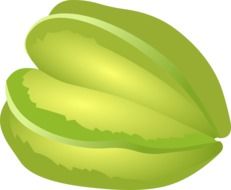 clipart of growth of a natural green seed