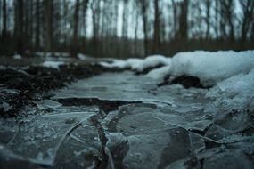 winter ice on puddle