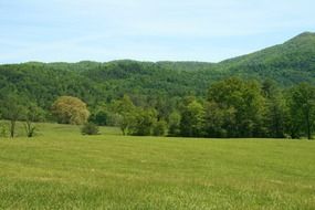 green field against the backdrop of green mountains in Tennessee