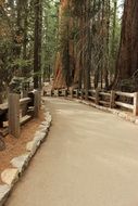 walkway in a well-kept park