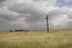 high voltage tower in the field