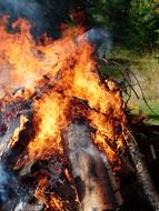 a fire in the forest