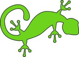 lizard gecko green drawing