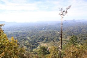 Landscape of valley on a mountain