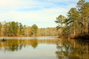lake among the forest in georgia