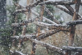 Colorado wooden snow fence