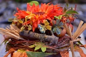 Bouquet with orange flower from dried flowers
