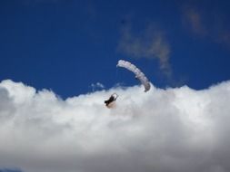 Skydiver with the parachute in California