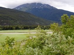 alaska summer landscape