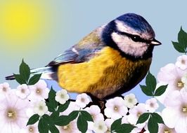 drawing of a cute tit in flowers