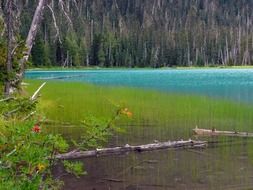 joffre lake in british columbia