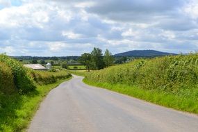 road landscape