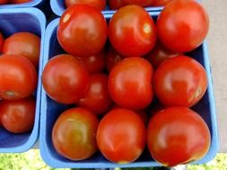 ripe tomatoes in plastic boxes