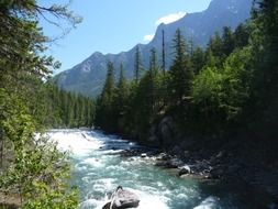 mountain river in the glacier national park