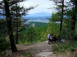hiker on a bench in a forest in the mountains of canada