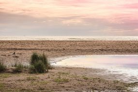 panorama of the autumn beach against the backdrop of pink dawn