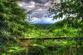 Landscape of deserted countryside