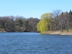 Landscape with the pond near the park