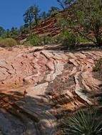 soil erosion in Zion National Park, Utah